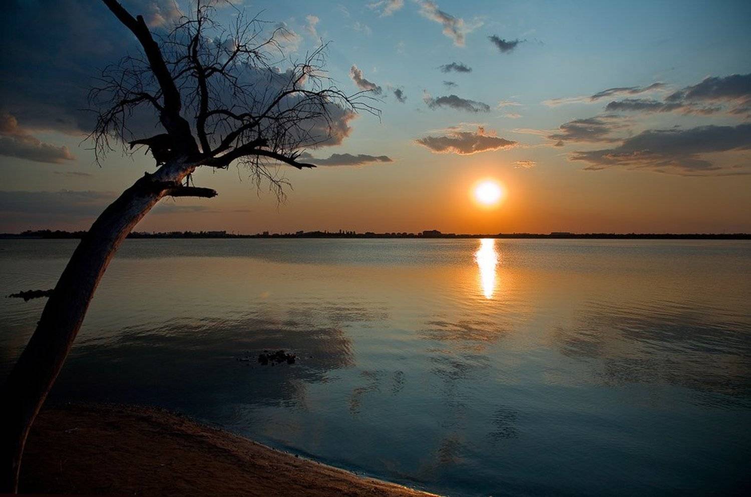 дерево, озеро, мойнаки, закат, tolyan139