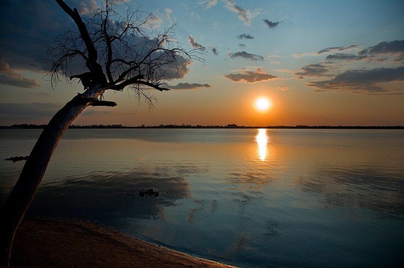 дерево, озеро, мойнаки, закат Одиночество... фото превью