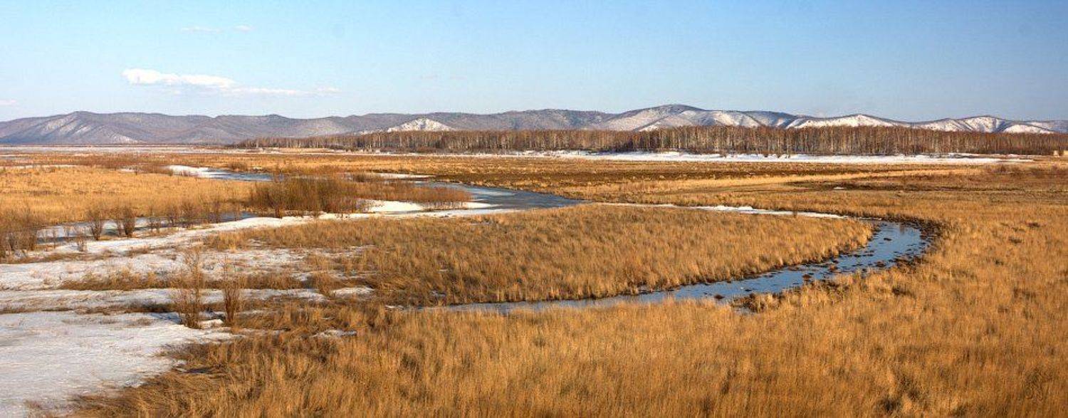 , Виктор Бут