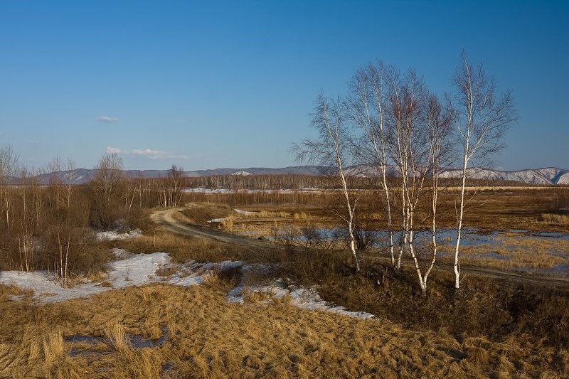 * * * фото превью