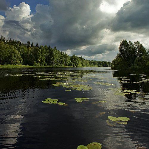 перед клевом