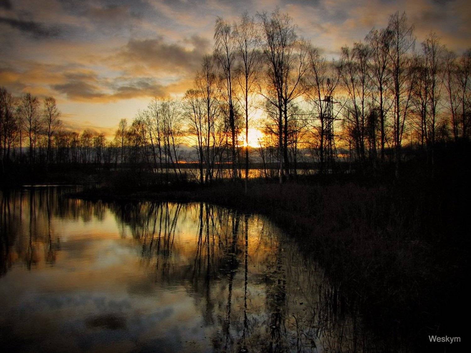 природа,пейзаж, Оля Маркова