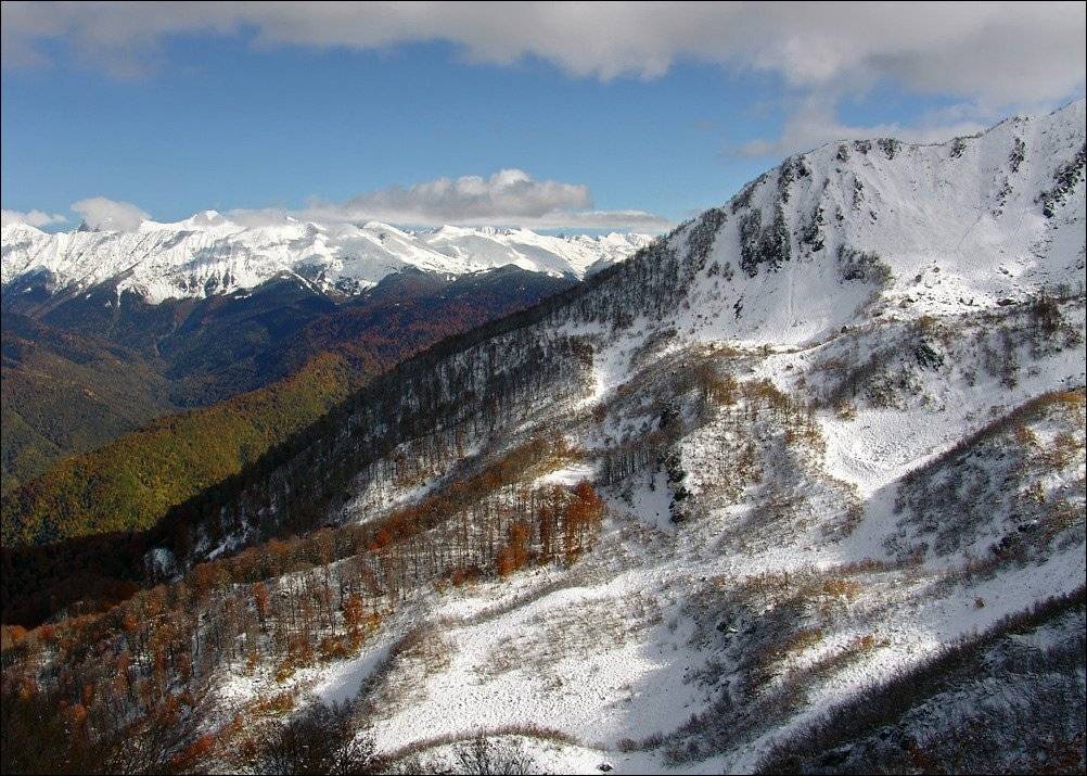 горы, Тарасов Алексей