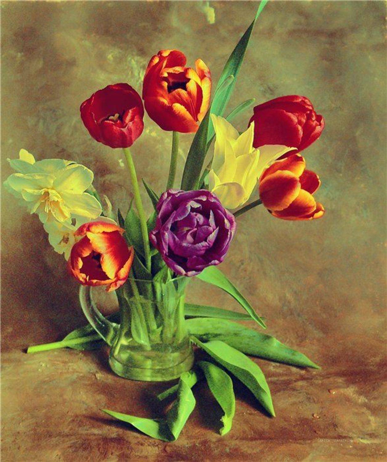 , Лариса Запатрина