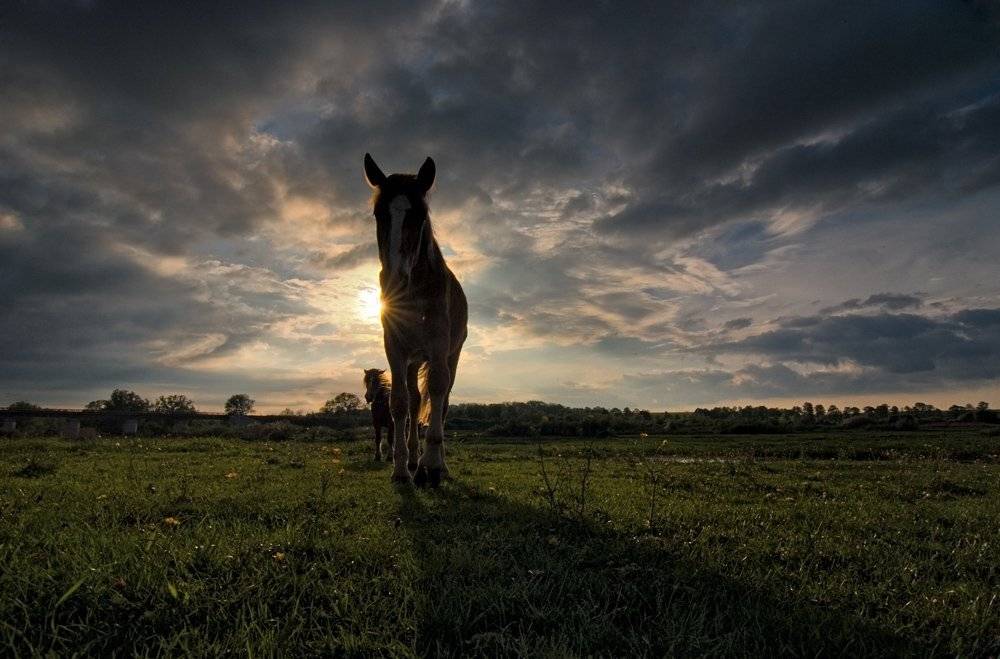 солнце,закат, Александр Титаренко