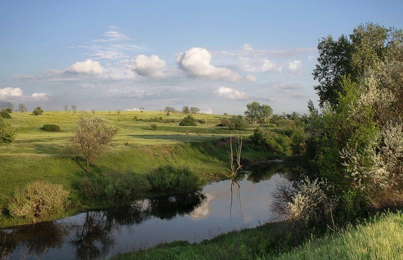 Там, где тихо плещет речка... фото превью
