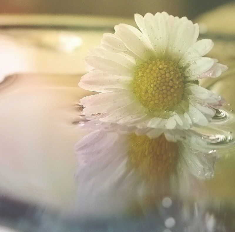 .....утопая в собственной нежности...... фото превью