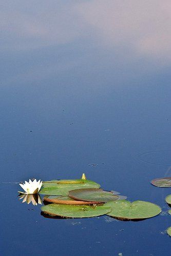 Вода и небо