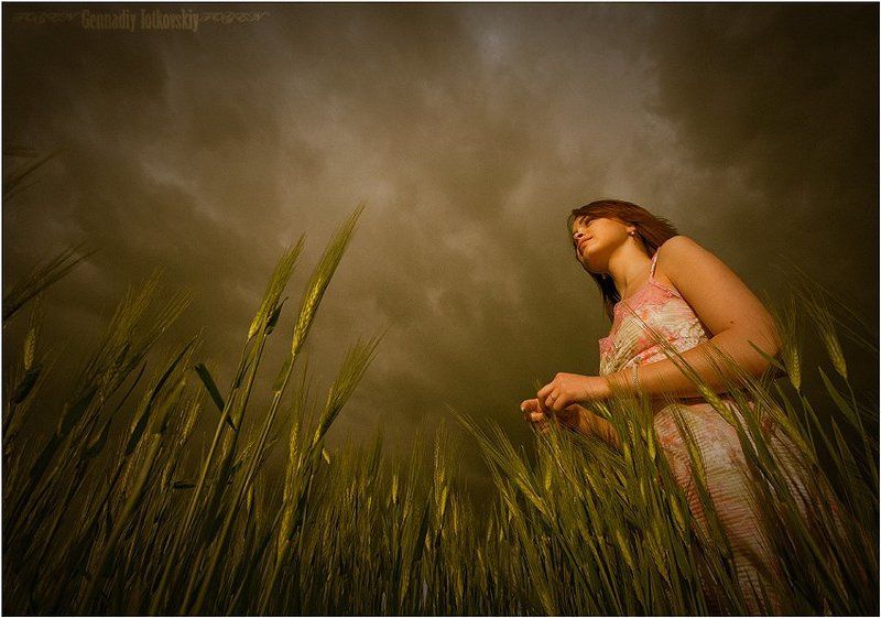 колосья что держат небо фото превью