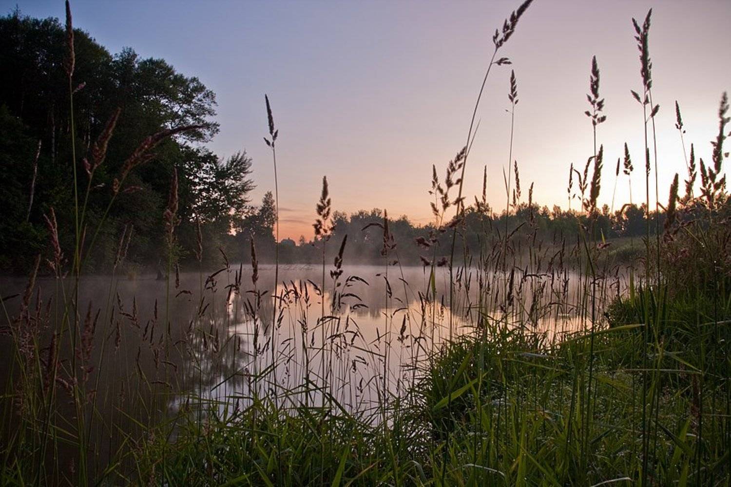 озеро, лето, locus