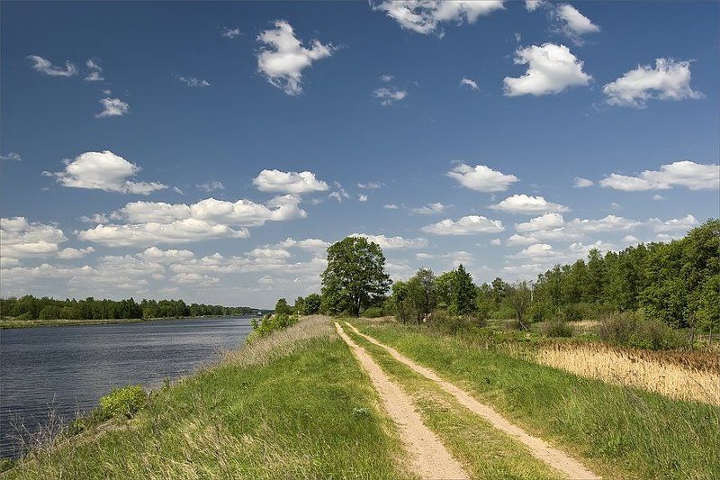 Лето... фото превью
