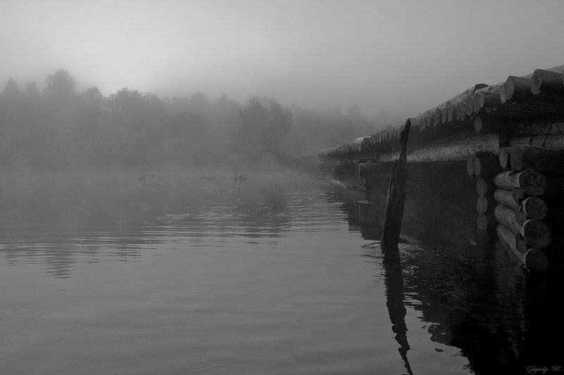 в тумане рассвета фото превью