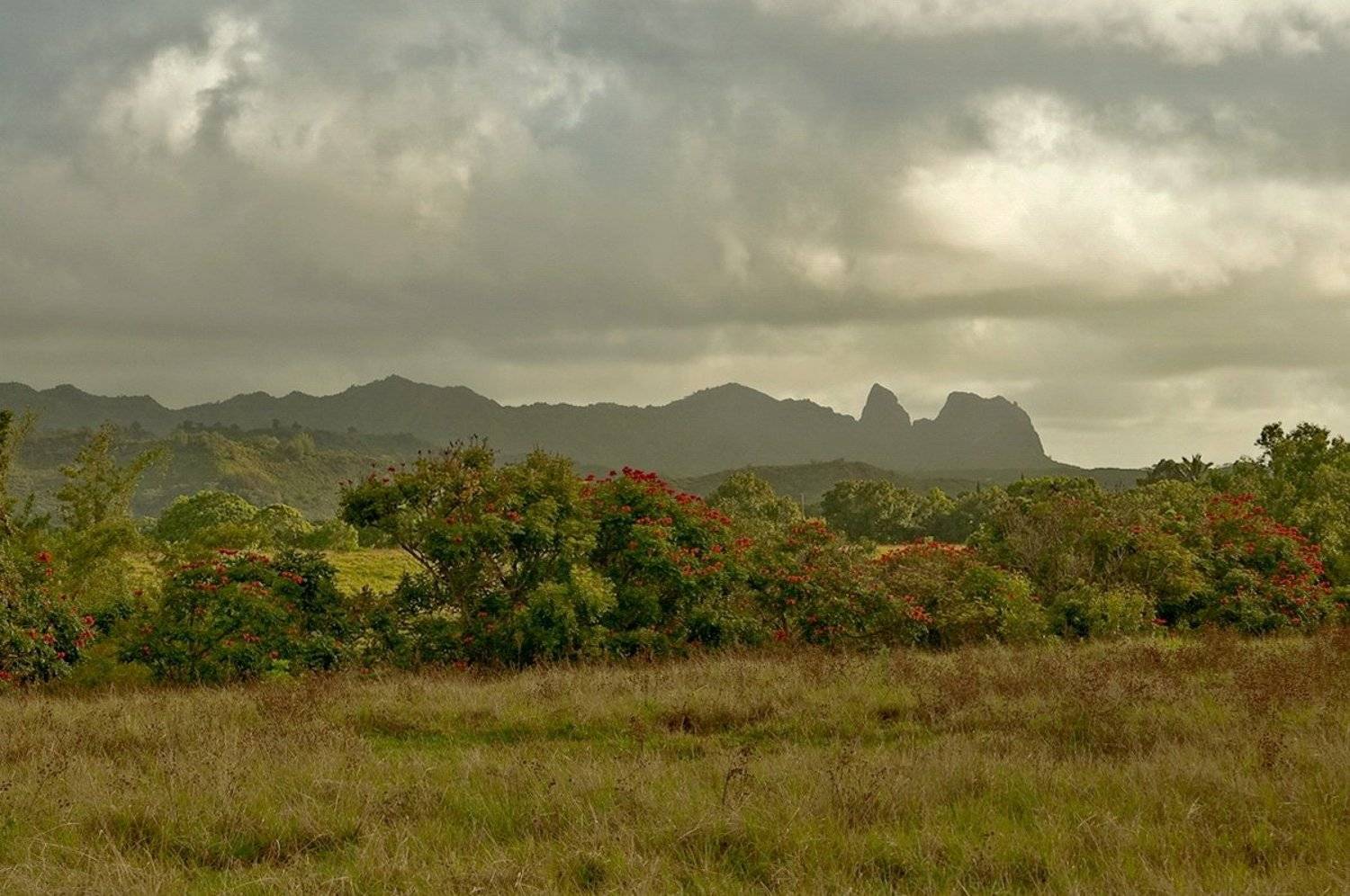 станко, горы, гавайские, острова, кауай, Андрей Станко