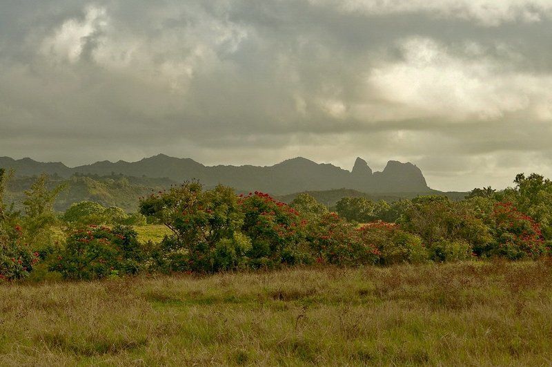 станко, горы, гавайские, острова, кауай Пахнет дождем фото превью