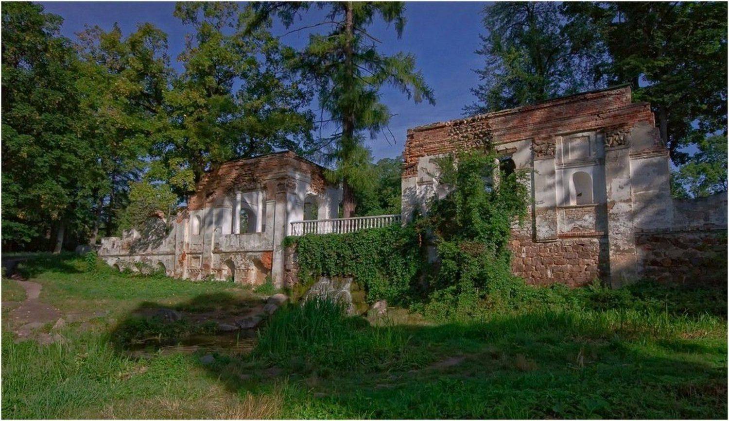 парк, александрия, Игорь Шевченко