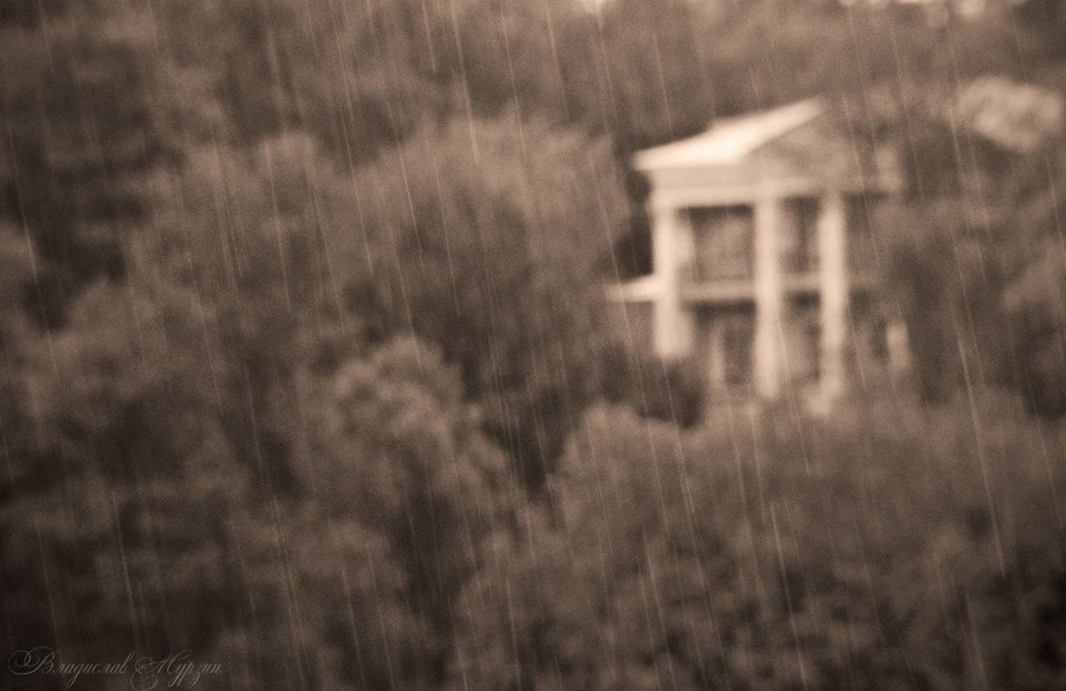 набережная, дождь, Владислав