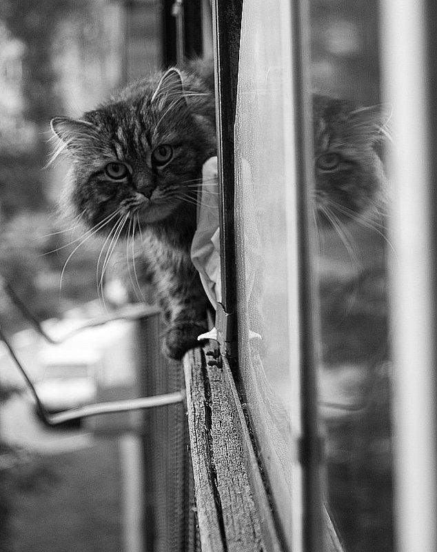 на балконе фото превью