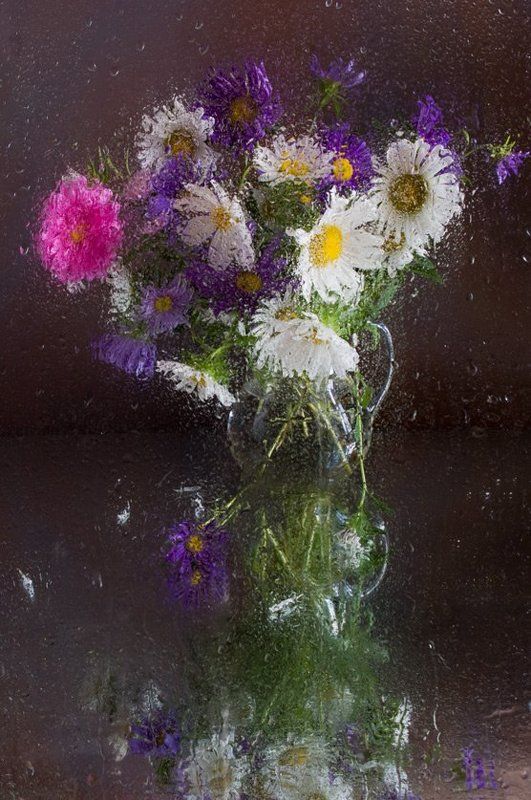 цветы, , хризантемы, , букет, , дождь Акварель дождя фото превью