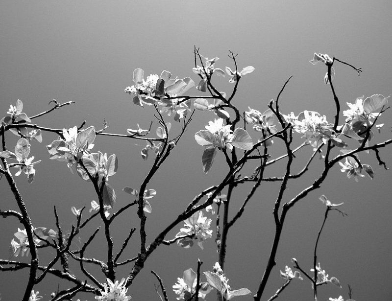 Я для фона выберу небо... фото превью