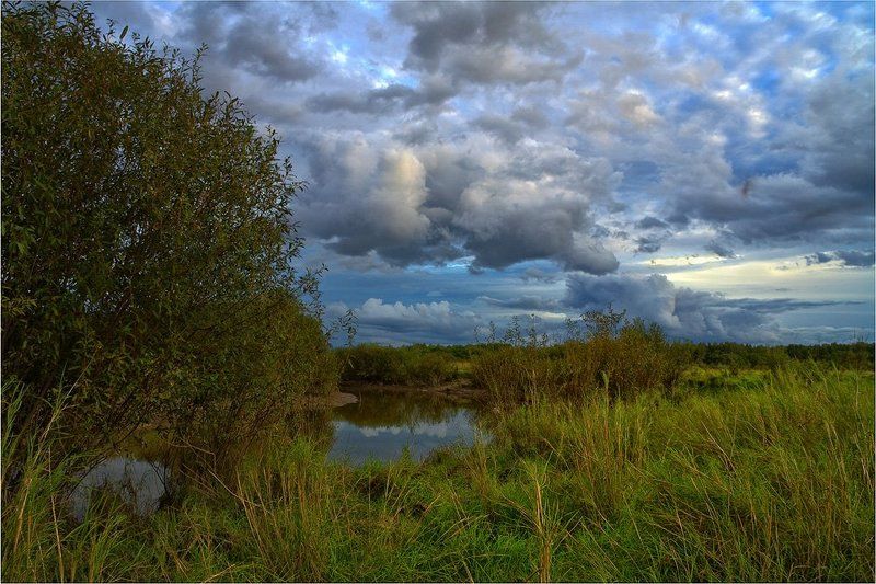 *** фото превью