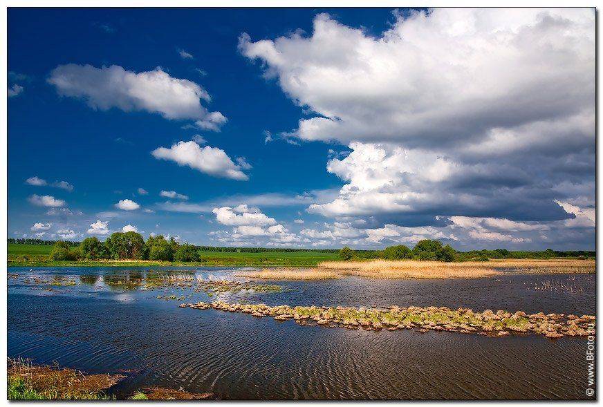 пейзаж, природа, лето, россия, озеро, пруд, липецкая область, Алексей Строганов