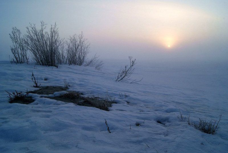 туман Когда туман накрывается утренним светом фото превью