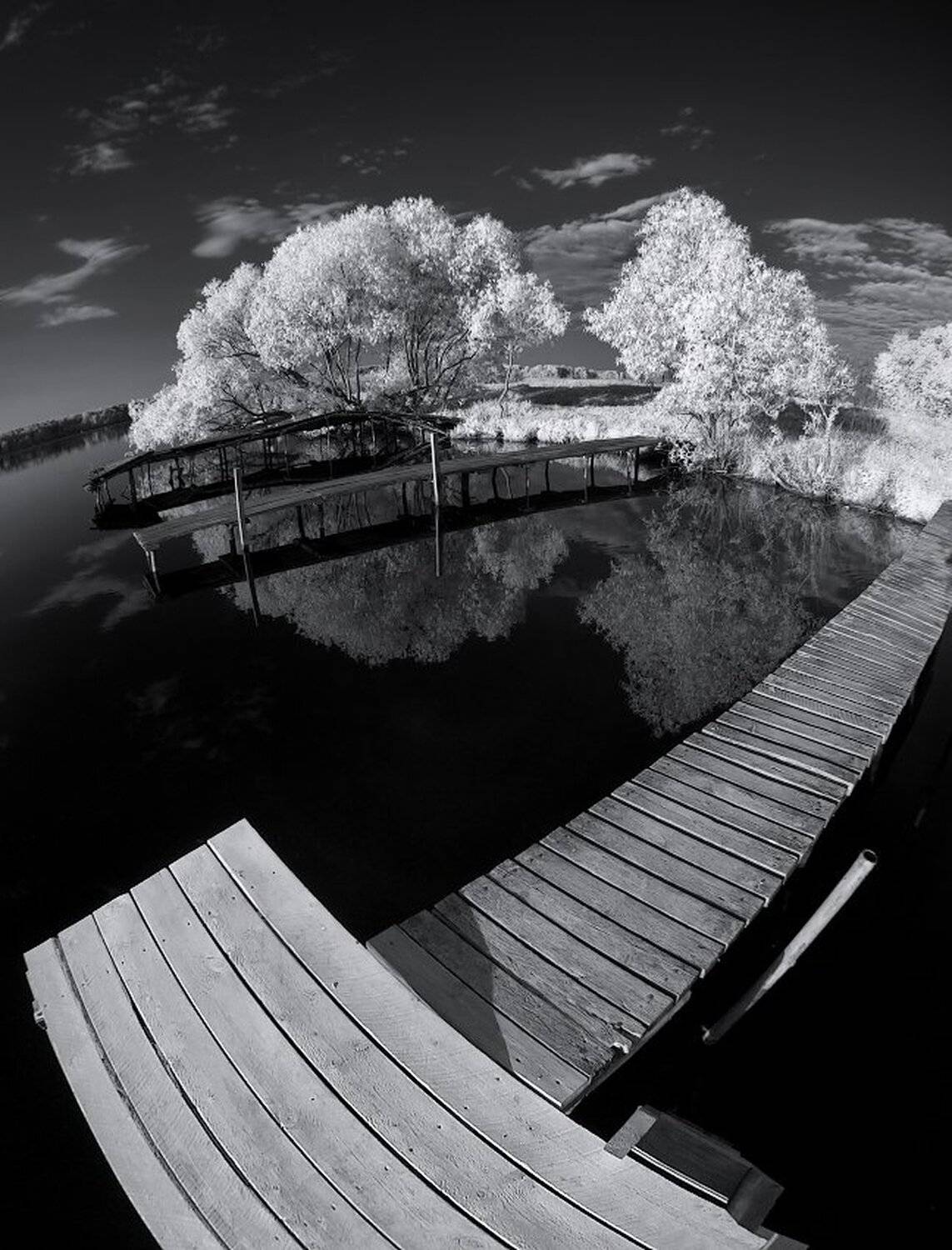 , Максим Евдокимов