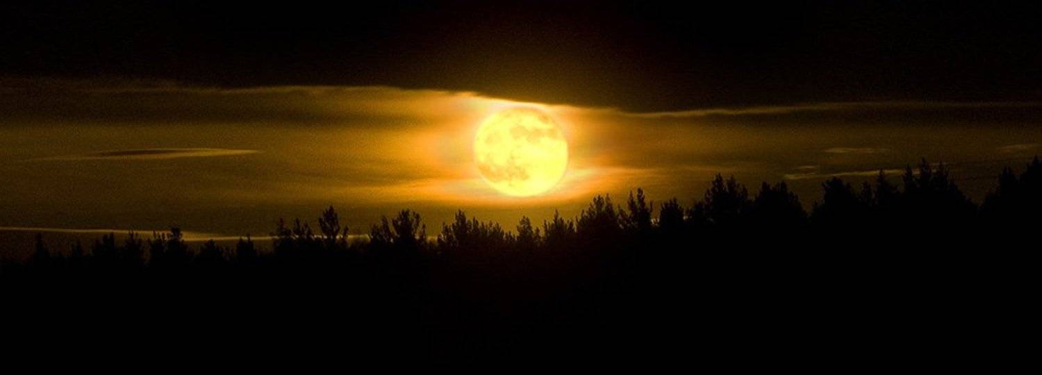 , Витя Лягушкин