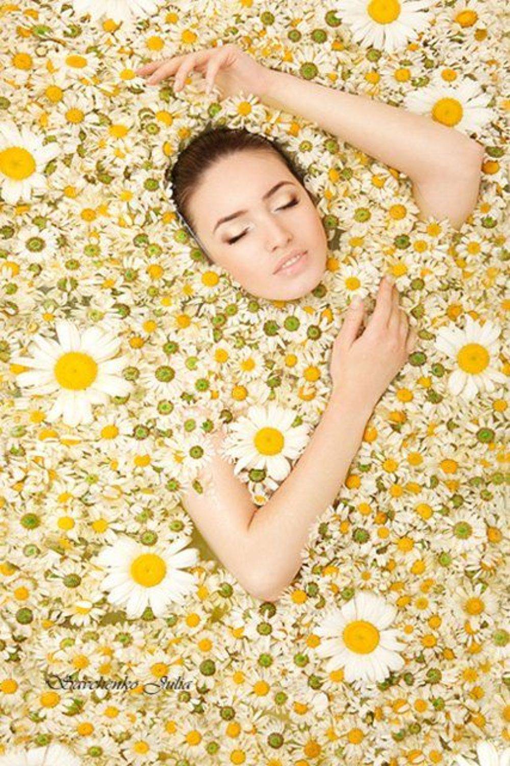 спасибо, \"солнышку\", за, мои, любимые, ромашки!, Savchenko Julia