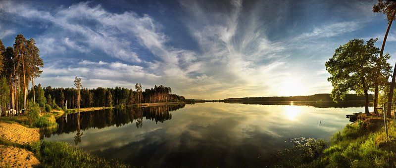 Вядь фото превью