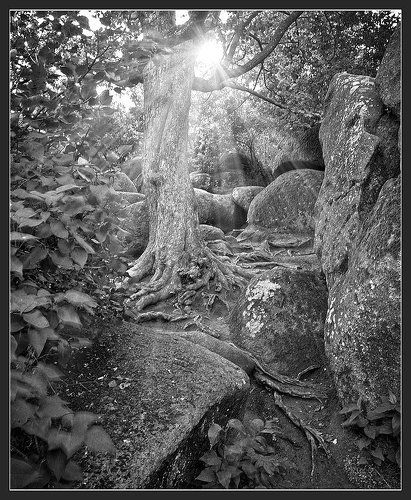 всепроникающий свет