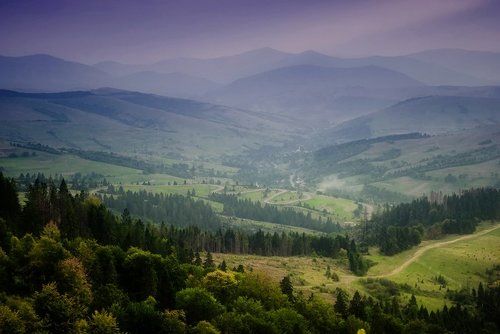 Этюд в багровых тонах