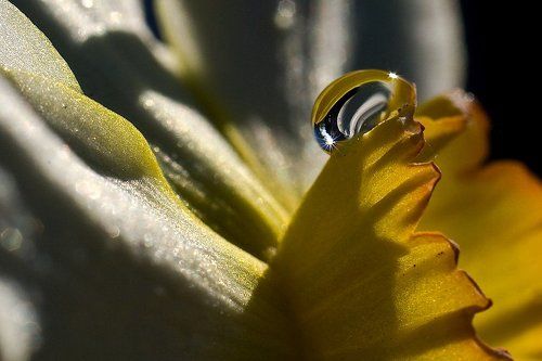 В лучах солнца.