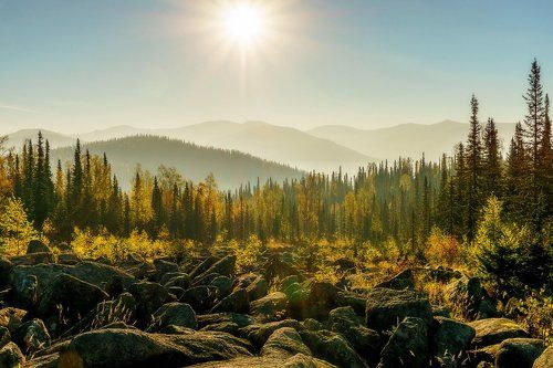 Осенние утро! 