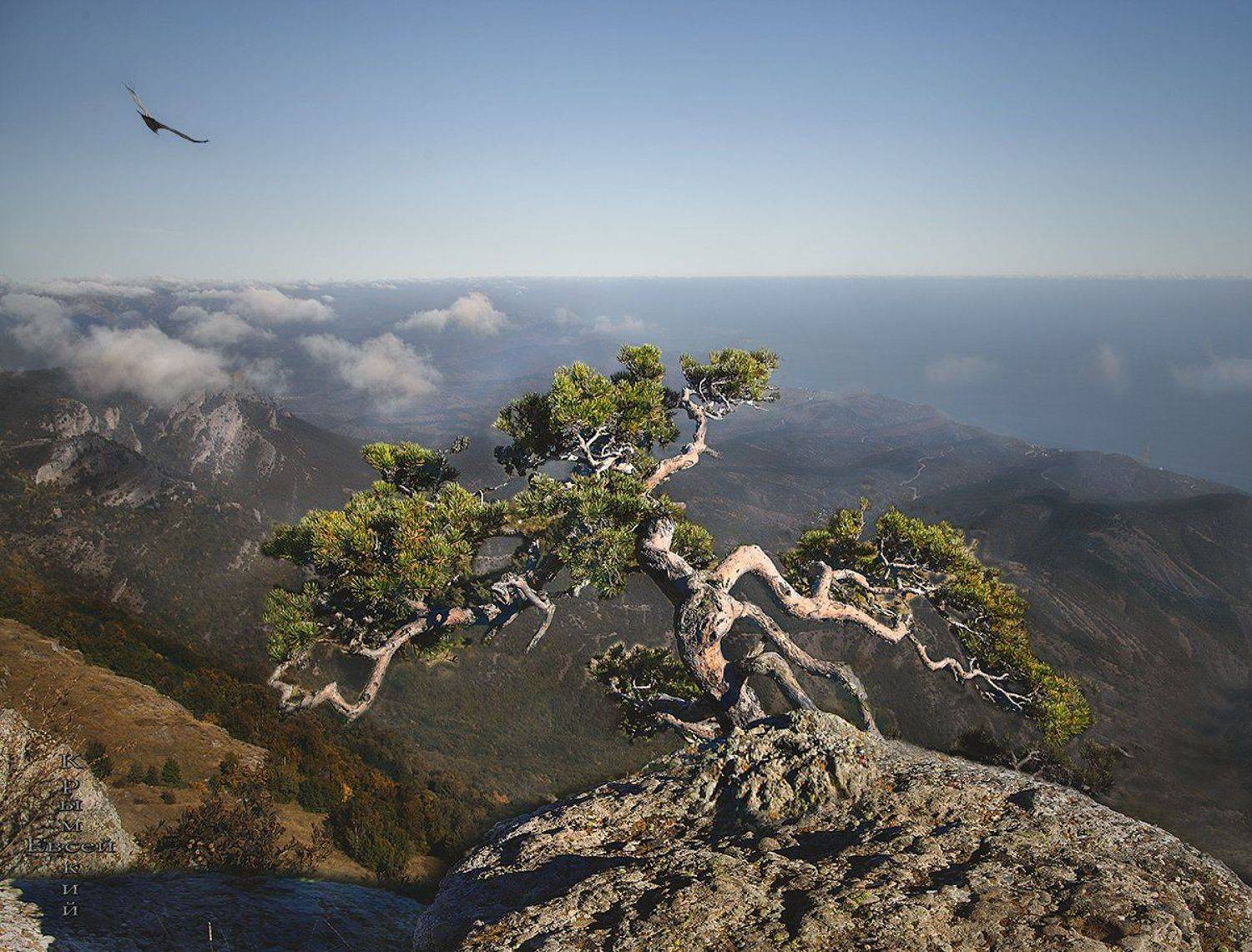 , Борис Костарев