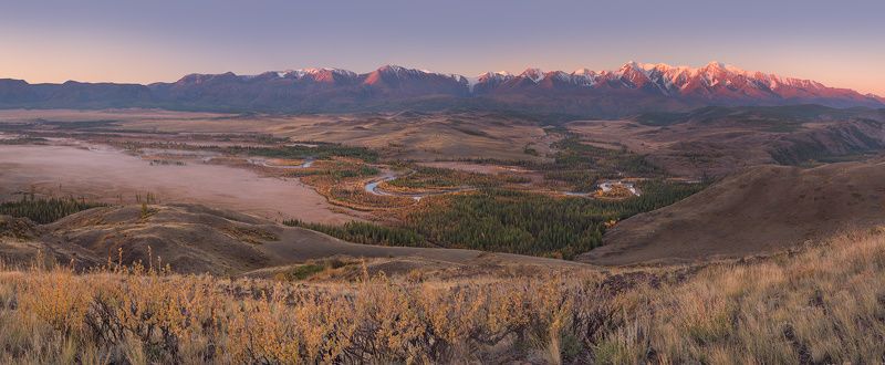 Утро в Курайской степи фото превью