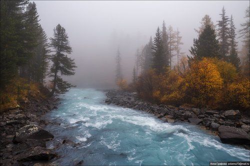 Туманное утро Кучерлы.