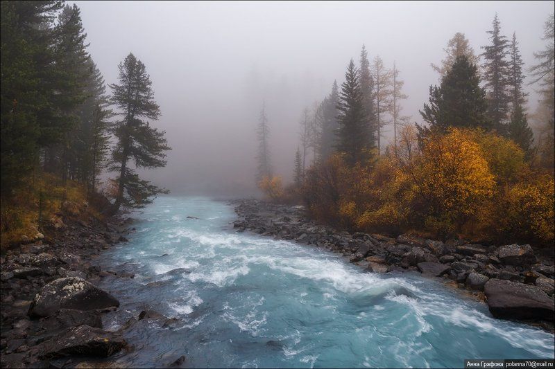 Алтай, Аня графова, Горный алтай, Горы, Катунский хребет, Кучерла, Кучерлинское озеро, Осень, Туман Туманное утро Кучерлы. фото превью