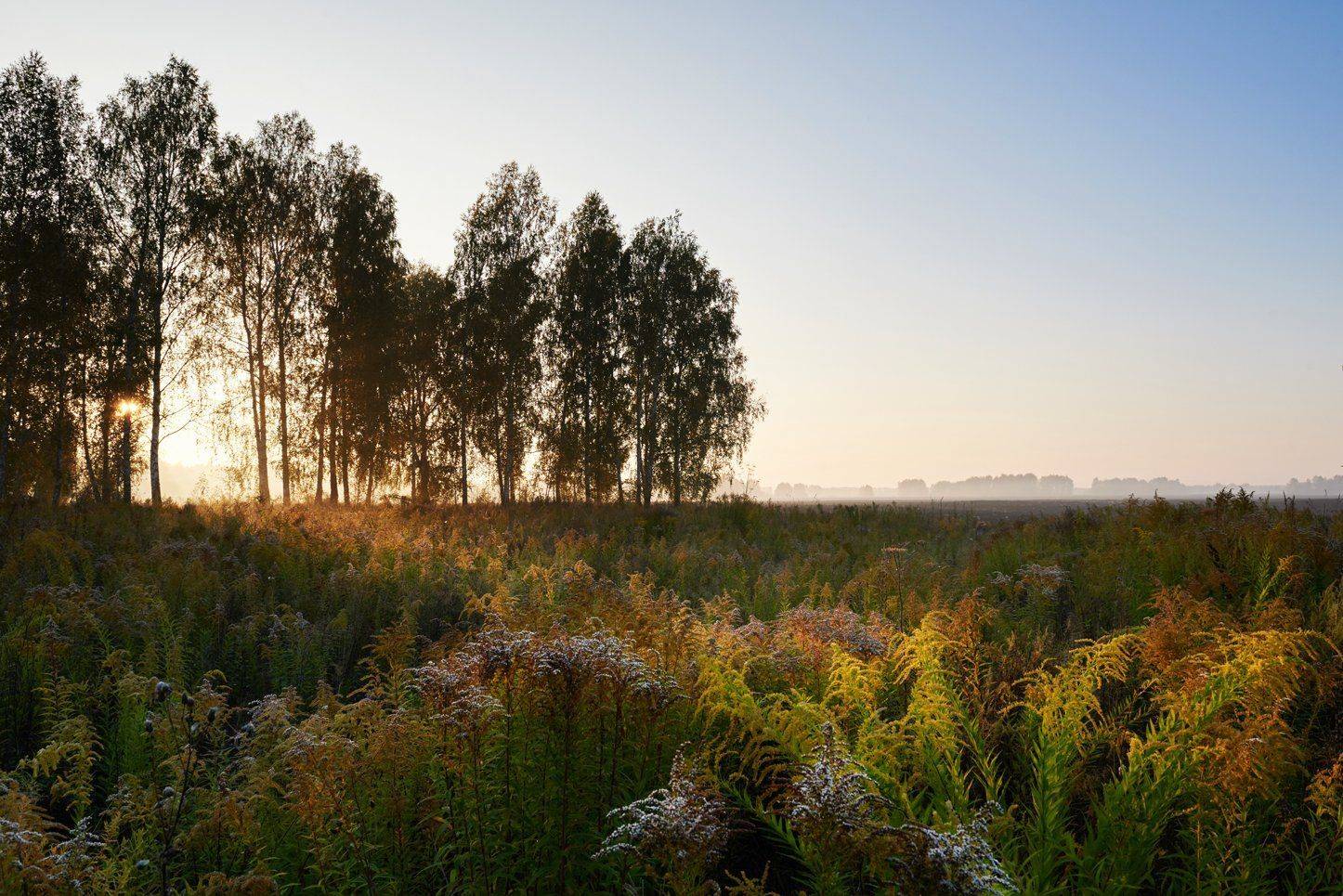 , Сергей Романчук
