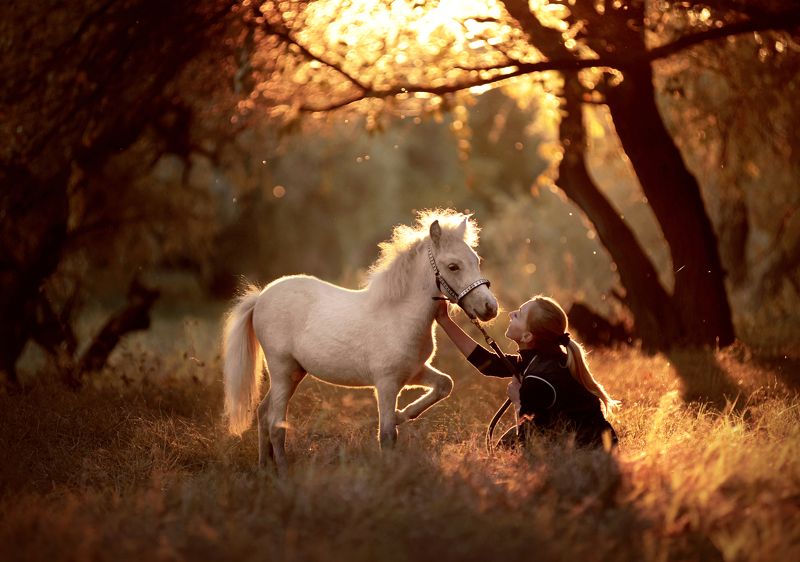 пушистая осень.. фото превью