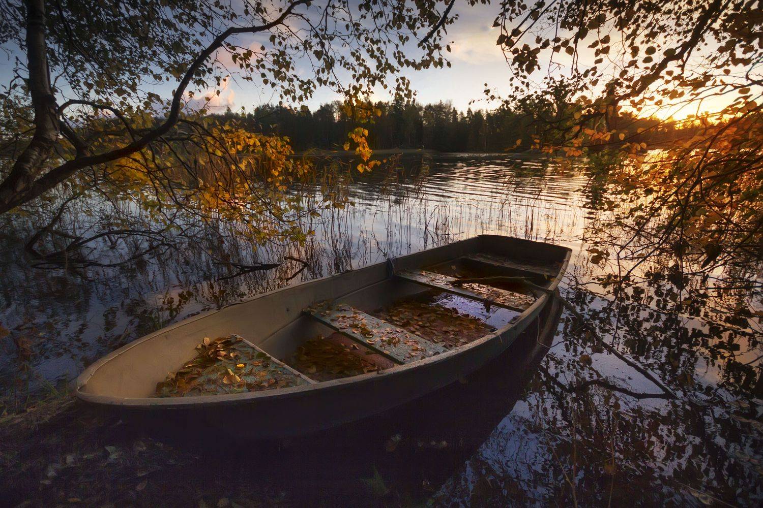 , Аркадий Белов