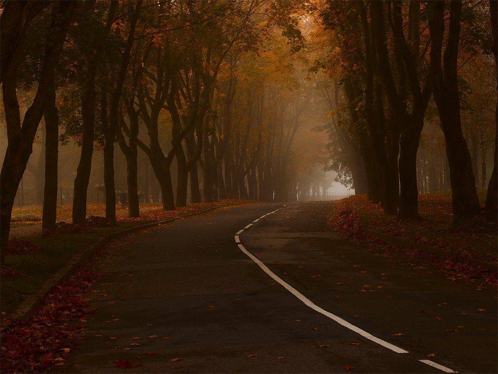 Нарва, Осень, Туман, Утро, Kljuchenkow Aleksandr