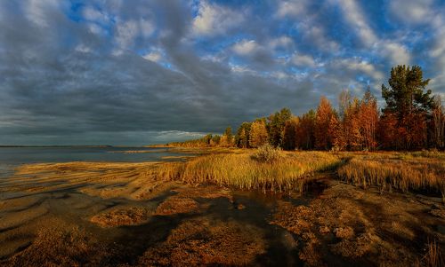 Осень на Кондинских озерах