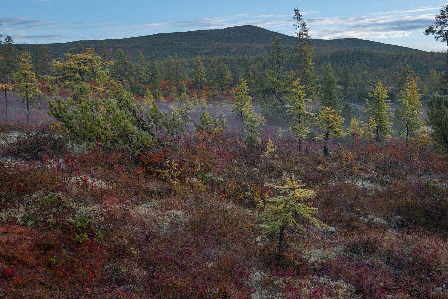 , Владимир Рябков