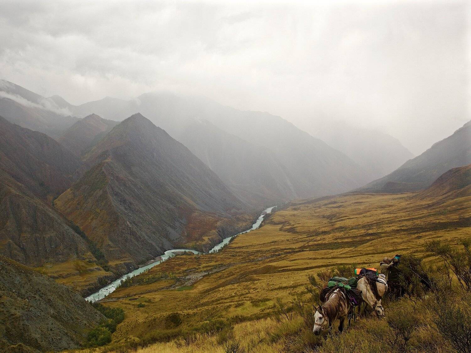 аргут, горный алтай, Мазурин Евгений