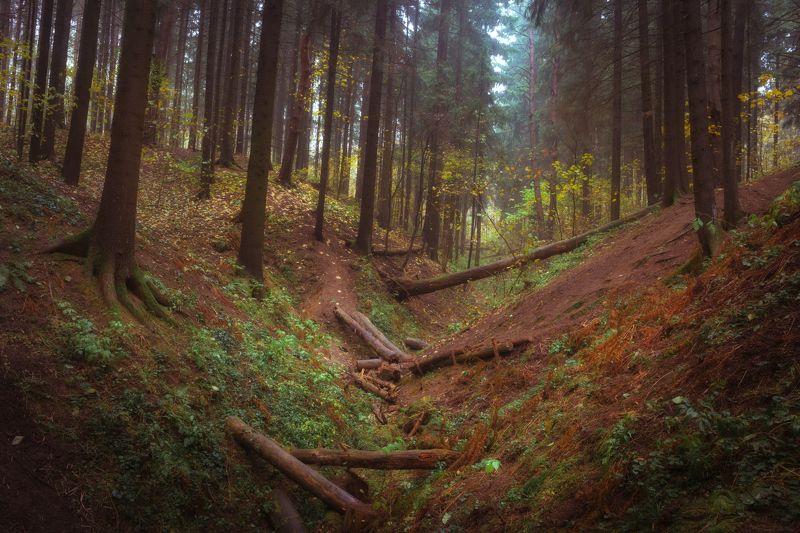 Красногорск Осень фото превью