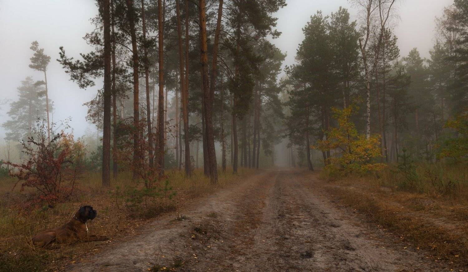 , Галанзовская Оксана