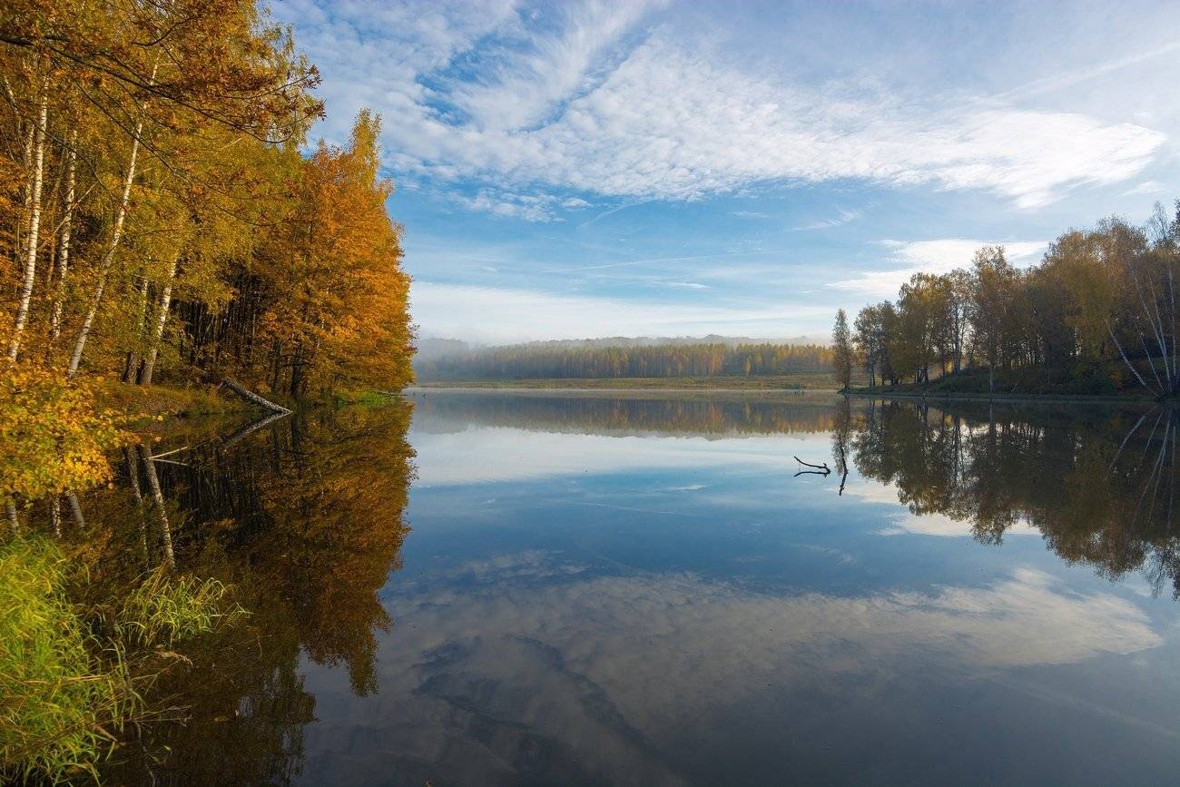 , Руслан Сигушин
