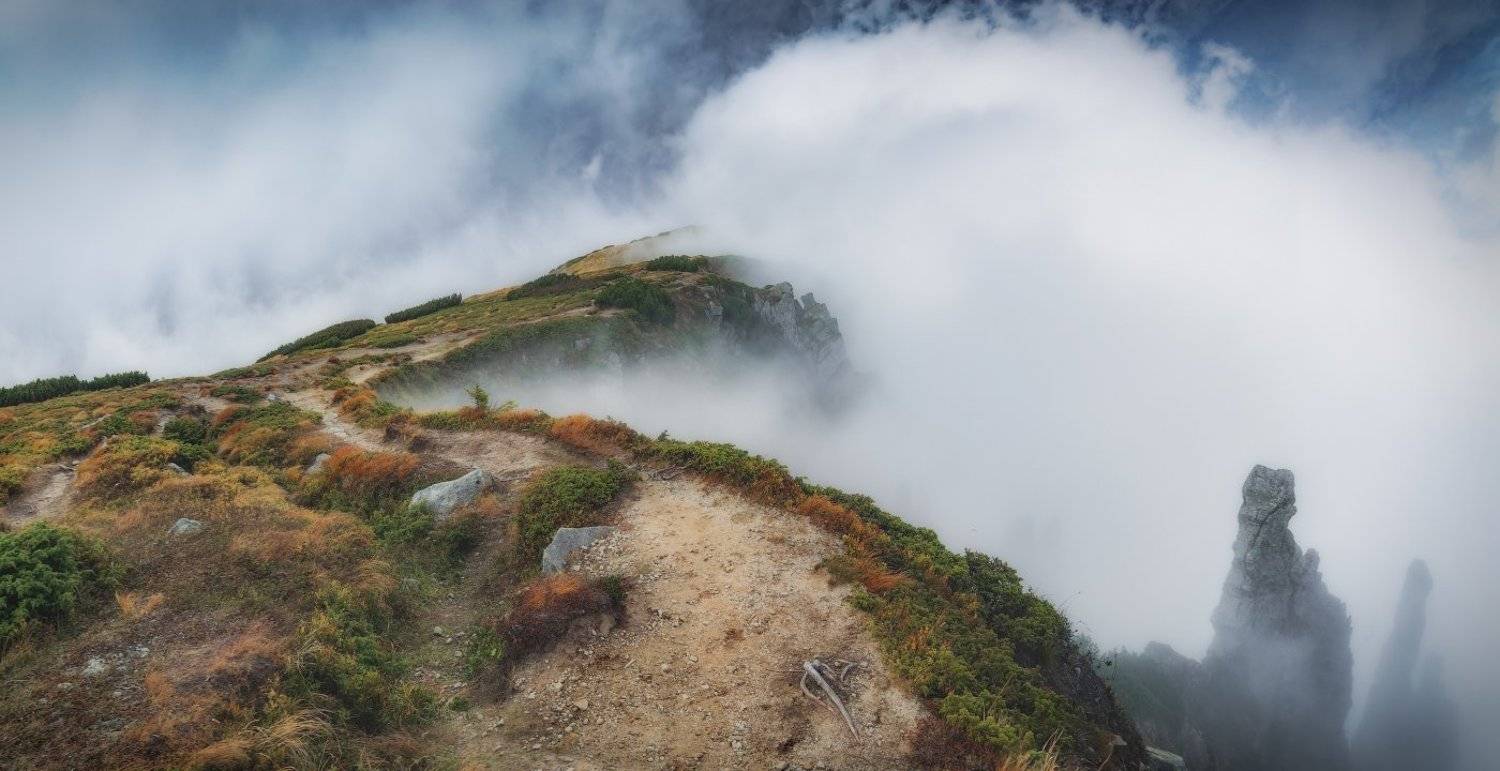 , Виталий Башкатов