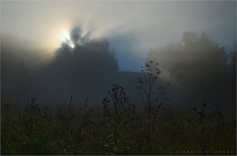 туман, утро, лучи, пейзаж Утро туманное фото превью
